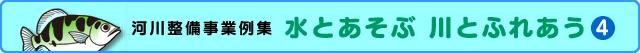 水辺に生きる生物図鑑