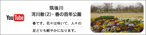 河川敷（2）・春の百年公園